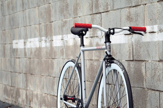tango fixed gear bicycle  *** 222